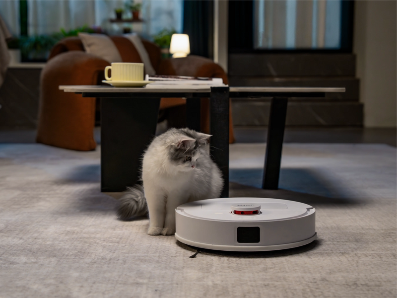 A Thoughtful Home Companion