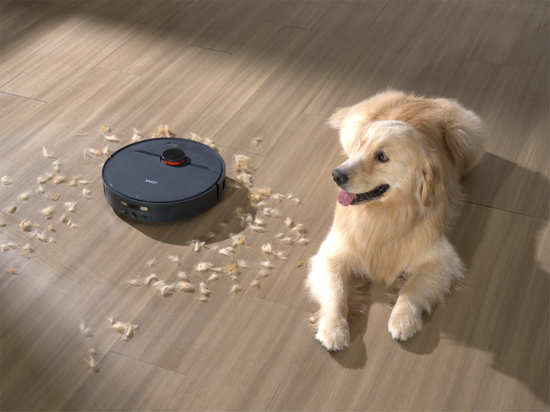 Pet-Friendly Cleaning